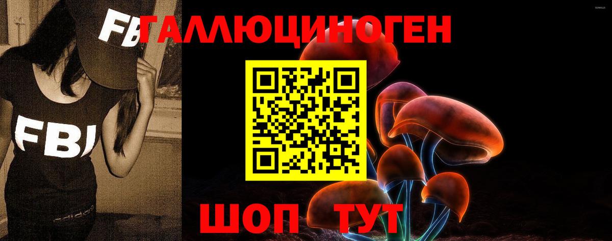 купить наркоту  Псилоцибиновые грибы MAGIC MUSHROOMS  Вход с VPN  Строитель 